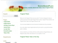 scentedgardenplants.com