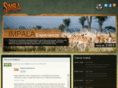 simbaexperience.com