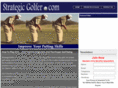 strategicgolfer.com