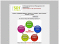501strategies.com