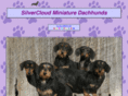 silverclouddachshunds.com