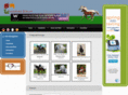 horse2buy.com