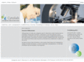neural-therapy.com