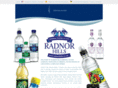 radnorhills.com