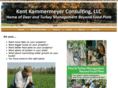deerconsulting.com
