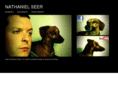 nathanielseer.com