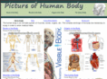 pictureofhumanbody.com