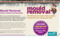 mouldremovalcanberra.com
