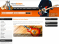 nicheguitars.com