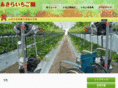 akiraichigo.com