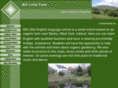 mill-little.com