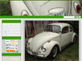 type-1-beetle.com
