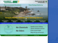celebritycleaners.com