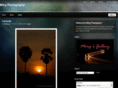 chansm.com