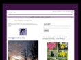 micheleford.com