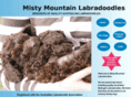 mistymountainlabradoodles.com