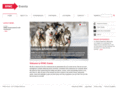 redpeakevents.com