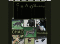 chaosstockdogs.com