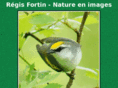 natureimages.net