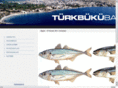 turkbukubalikcisi.com