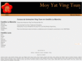 wingtsuncastilla.com