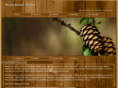 blinkbonnywood.com