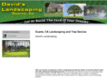 davidslandscaping.net