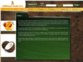 deliciousfruitssa.com