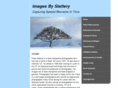 imagesbyslattery.com