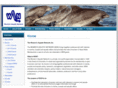 womensaquatic.net