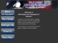 baldeaglecostseg.com