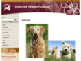 binbrookvet.com