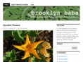 brooklynbaba.com