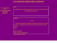 lrmarchingraiders.com