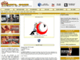 nflone.com