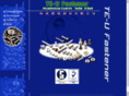 teufastener.com