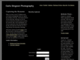 carlosingsonphotography.com
