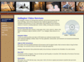 gallaghervideo.com