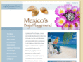 lighthousepointmexico.com