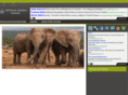 africansafariblog.org