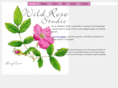amynoon.com