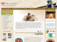 chinamobilecard.com