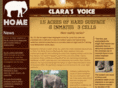 clarasvoice.org
