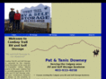 cowboytrailrvselfstorage.com