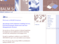 balmsolutionsllc.com