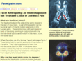 facetpain.com