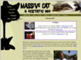 massivecat.com