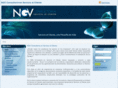 ngvconsultoria.com