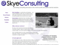 skyeconsulting.net