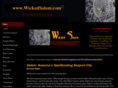 wickedsalem.com